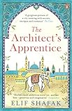 The Architect's Apprentice livre