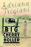 Big Cherry Holler: A Big Stone Gap Novel (English Edition) livre