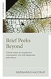 Brief Peeks Beyond: Critical Essays on Metaphysics, Neuroscience, Free Will, Skepticism and Culture livre