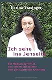 Ich sehe ins Jenseits: Ein Medium berichtet von seinen Erlebnissen und gibt spirituelle Anleitung livre