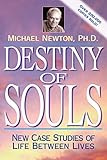 Destiny of Souls: New Case Studies of Life Between Lives livre