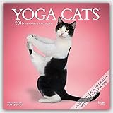 Yoga Cats 2016 - Joga-Katzen - 18-Monatskalender: Original BrownTrout-Kalender [Mehrsprachig] [Kalen livre