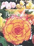 Begonias livre