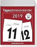 Tagesabreißkalender XL 2019 - Wandkalender / Bürokalender (8 x 11) livre