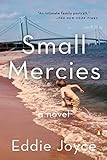 Small Mercies: A Novel livre