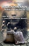 Irgendwann krieg ich Dich: Leo Schwartz ... und die falschen Spuren (German Edition) livre