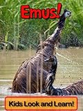Emus! Learn About Emus and Enjoy Colorful Pictures - Look and Learn! (50+ Photos of Emus) (English E livre